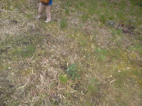 110324_122107.jpg
