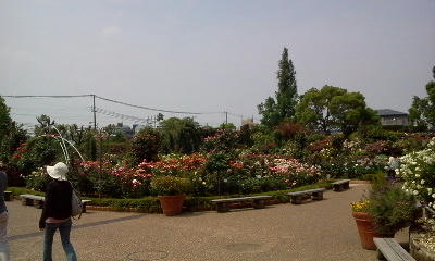 110604_133746.jpg