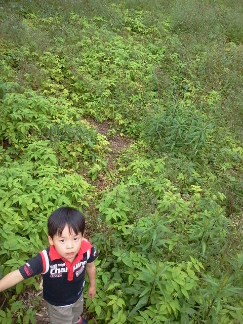 120516_174452.jpg