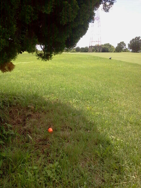 120622_131534.jpg