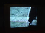 DSC09358.JPG