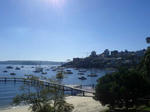 Woollaha1