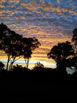 20120110_201700.jpg