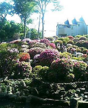 05-05-04-02.jpg