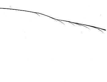 08-02-02.jpg