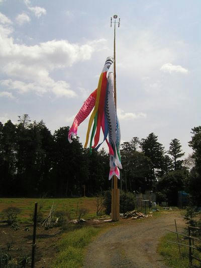 08-04-12-07.jpg