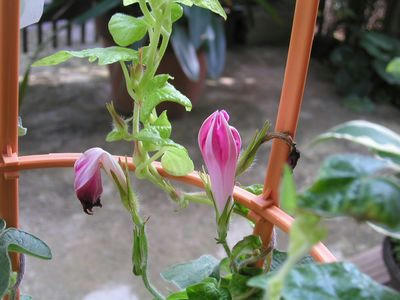 08-07-20-02.jpg