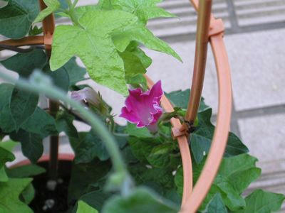 08-07-20-03.jpg