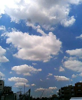 08-08-07-01.JPG