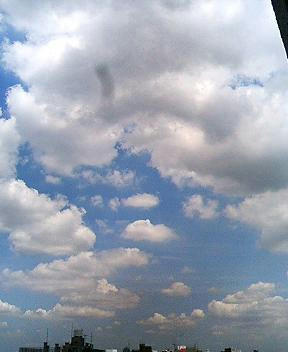 08-08-07-02.JPG