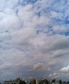 08-09-20-02.JPG