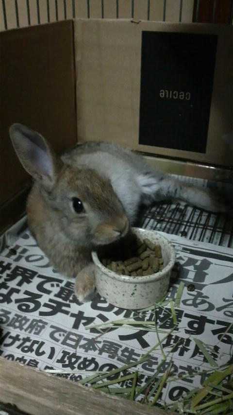2009031119380000.jpg