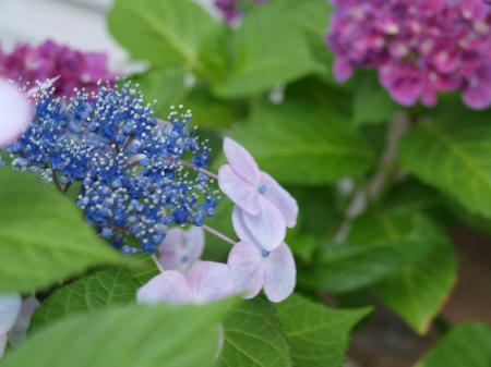 09-06-11-02.jpg