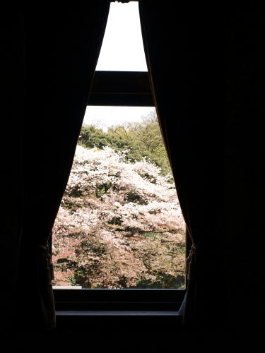 20100416-04.jpg