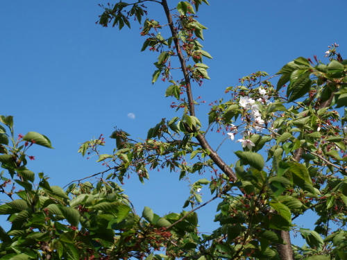 20100425-01.jpg