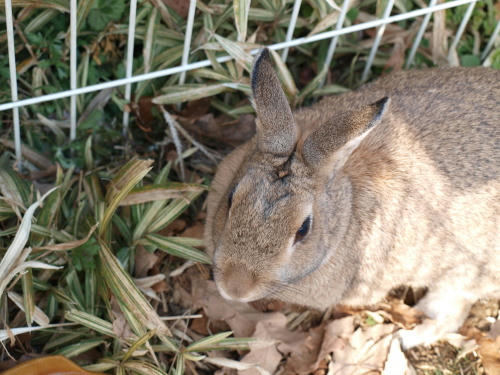 20100429-03.jpg