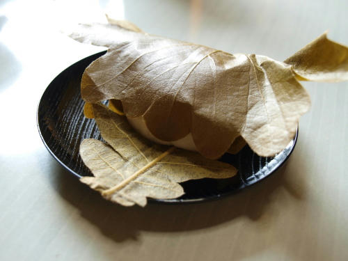 20100504-02.jpg