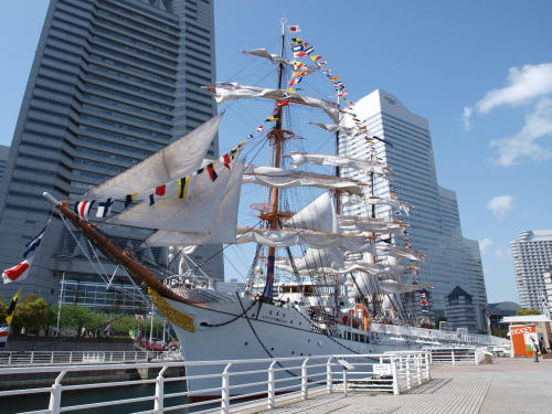 20100505-08.jpg