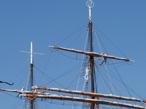 20100505-10.jpg