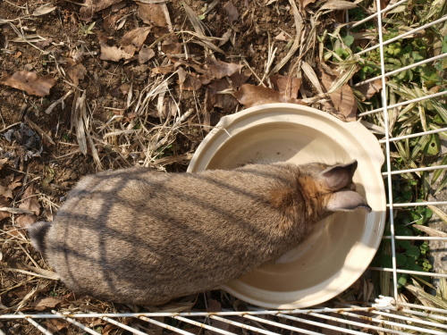 20100506-02.jpg