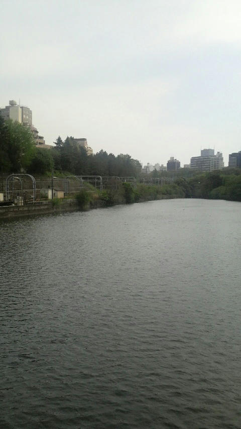 20100508-01.JPG