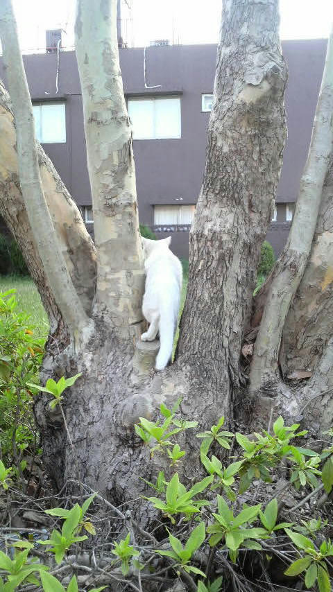 20100613-02.JPG