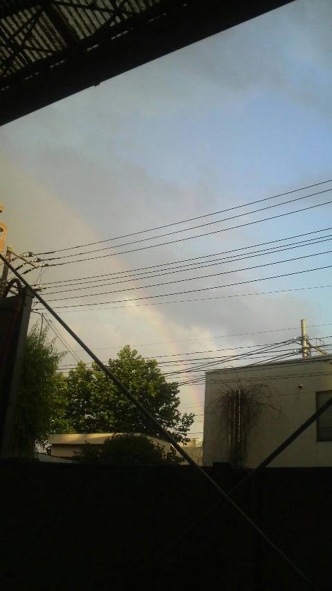 20100617-01.JPG