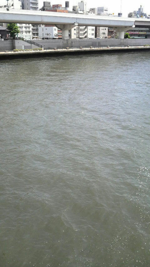 20100711-03.JPG