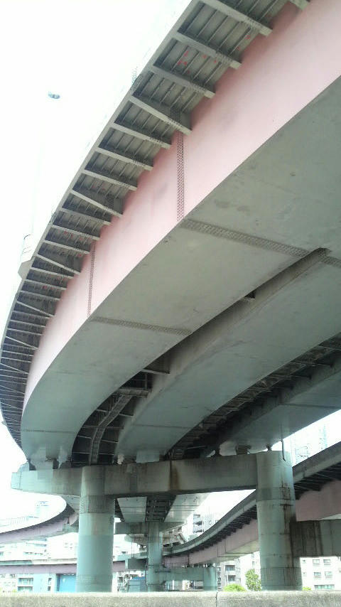 20100711-04.JPG