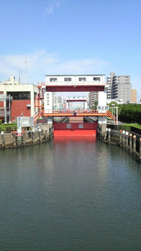 20100711-06.JPG