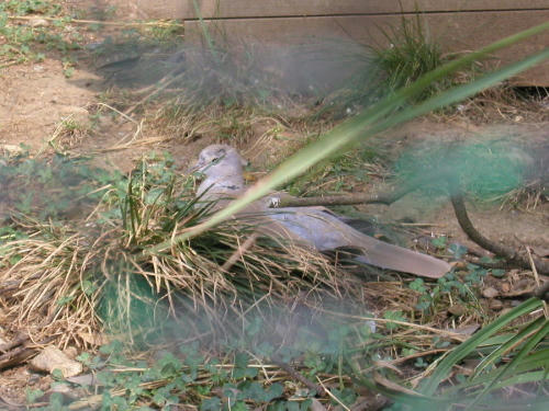 20100914-01.jpg