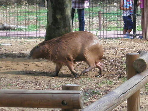 20100914-08.jpg