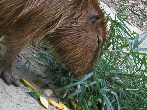 20100914-09.jpg