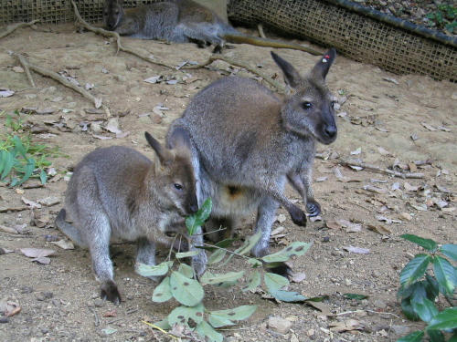 20100914-11.jpg
