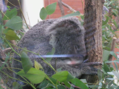 20100914-13.jpg