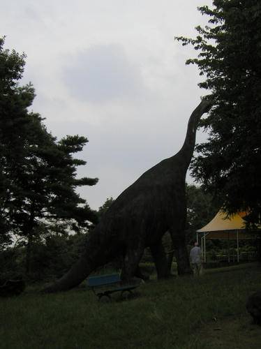 20100914-17.jpg