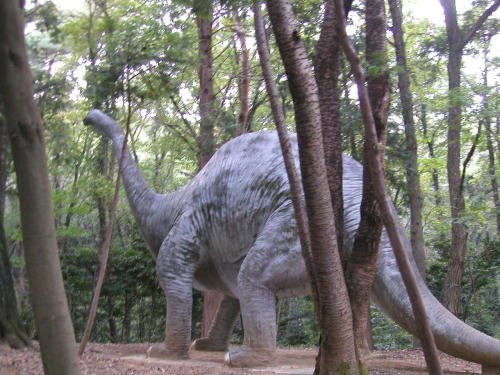 20100914-19.jpg