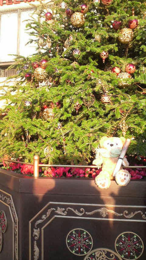 20101231-09.JPG