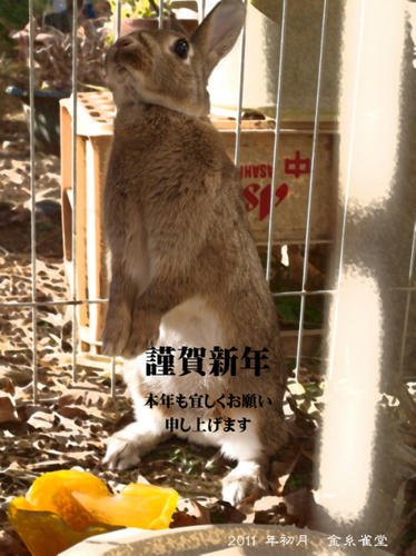 20110101-01.jpg