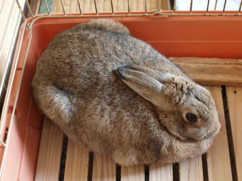 20110110-05.jpg