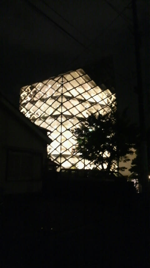 20110112-01.JPG