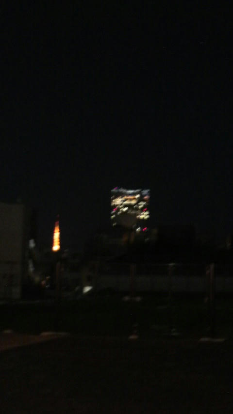 20110112-04.JPG