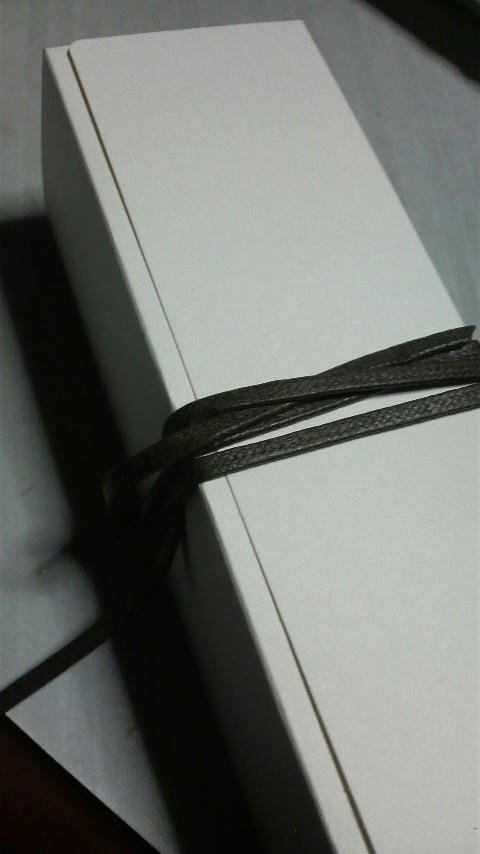 20110112-05.JPG