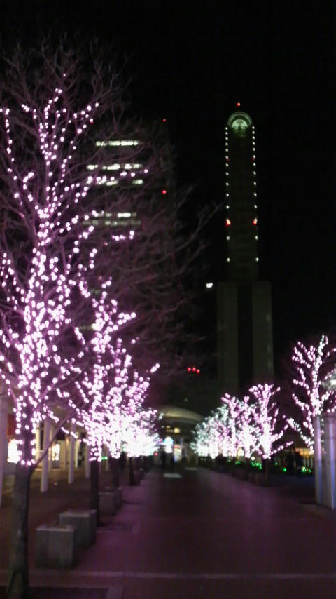 20110112-06.JPG