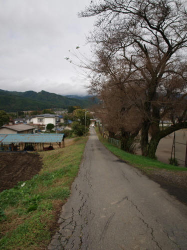 20110212-01.jpg