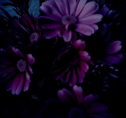 20110217-02.jpg