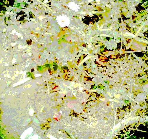 20110217-03.jpg