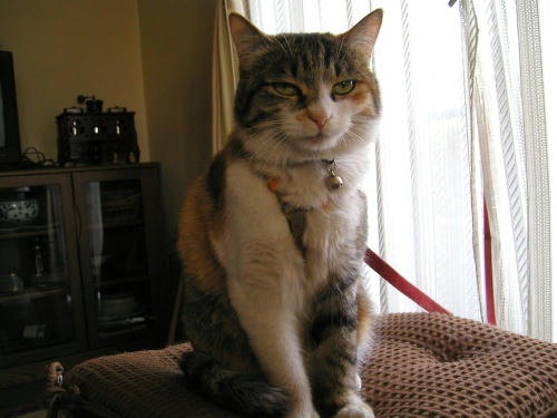 20110222-01.jpg