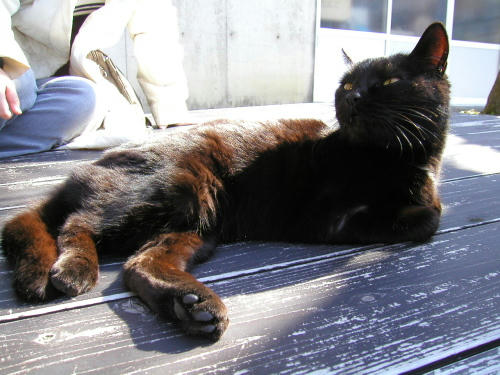 20110222-02.jpg