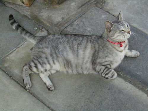 20110222-03.jpg